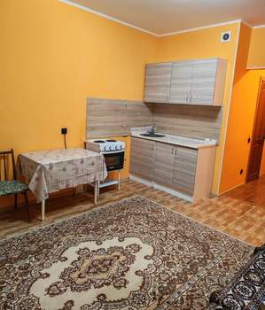 Студия квартира, на длительный срок, 24м2, 10/17 этаж