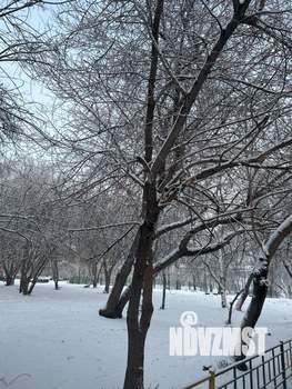 Студия квартира, на длительный срок, 14м2, 1/5 этаж