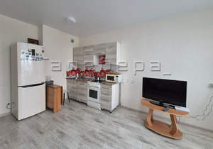 1-к квартира, на длительный срок, 31м2, 10/25 этаж