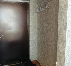 1-к квартира, на длительный срок, 24м2, 7/17 этаж