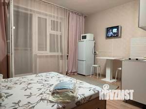 Студия квартира, посуточно, 24м2, 13/14 этаж