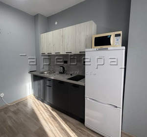 1-к квартира, на длительный срок, 23м2, 25/25 этаж