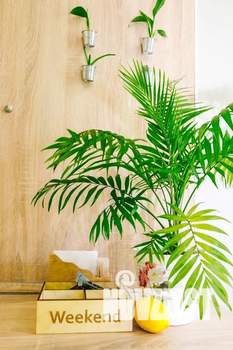 Студия квартира, посуточно, 22м2, 2/5 этаж