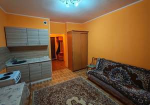 Студия квартира, на длительный срок, 24м2, 10/17 этаж