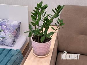 1-к квартира, посуточно, 45м2, 8/8 этаж