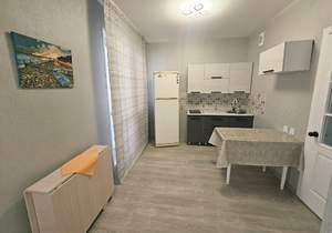 Студия квартира, на длительный срок, 30м2, 17/17 этаж