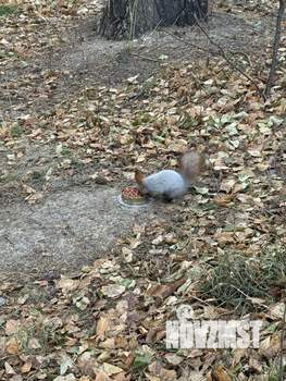 3-к квартира, на длительный срок, 81м2, 16/17 этаж