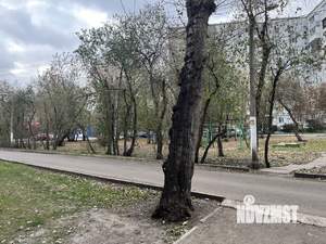 Студия квартира, на длительный срок, 18м2, 3/5 этаж