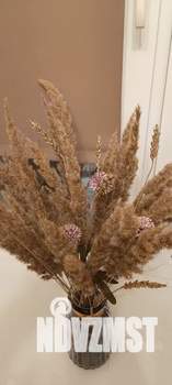 2-к квартира, посуточно, 54м2, 5/5 этаж