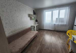 Студия квартира, на длительный срок, 24м2, 13/17 этаж