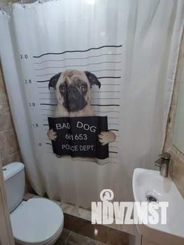 Студия квартира, посуточно, 14м2, 1/5 этаж