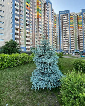 1-к квартира, на длительный срок, 34м2, 1/17 этаж