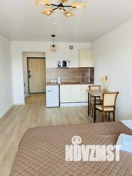 Студия квартира, посуточно, 28м2, 7/19 этаж