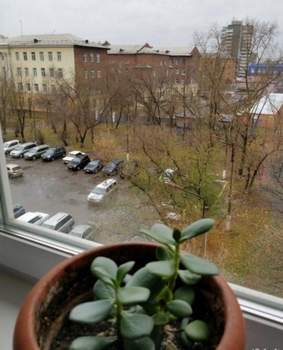 3-к квартира, на длительный срок, 55м2, 5/5 этаж