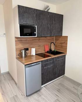 Студия квартира, на длительный срок, 26м2, 16/16 этаж