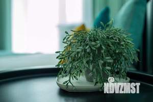 2-к квартира, посуточно, 51м2, 1/1 этаж