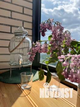 Студия квартира, посуточно, 30м2, 18/25 этаж