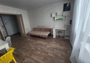 Студия квартира, на длительный срок, 24м2, 13/17 этаж