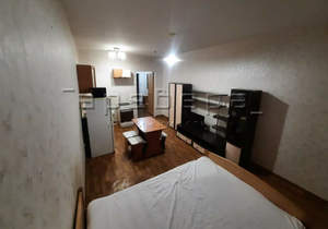 1-к квартира, на длительный срок, 27м2, 14/17 этаж