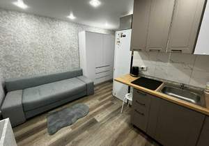 Студия квартира, на длительный срок, 16м2, 3/9 этаж