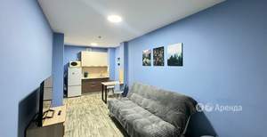 1-к квартира, на длительный срок, 30м2, 19/19 этаж