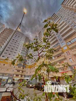 1-к квартира, на длительный срок, 41м2, 10/17 этаж