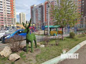 1-к квартира, на длительный срок, 37м2, 3/10 этаж