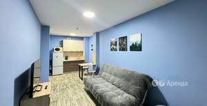 1-к квартира, на длительный срок, 30м2, 19/19 этаж