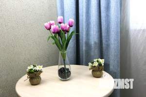 1-к квартира, посуточно, 42м2, 10/10 этаж