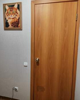 Студия квартира, на длительный срок, 25м2, 12/17 этаж