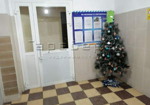 1-к квартира, на длительный срок, 24м2, 7/14 этаж