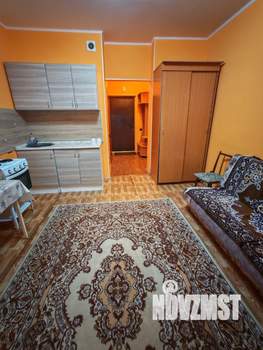 Студия квартира, на длительный срок, 24м2, 10/17 этаж