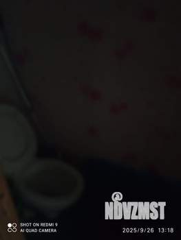 Студия квартира, на длительный срок, 14м2, 2/5 этаж