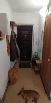 1-к квартира, на длительный срок, 31м2, 2/5 этаж