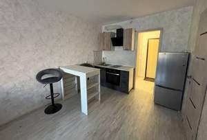 1-к квартира, на длительный срок, 27м2, 13/17 этаж