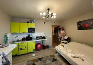 Студия квартира, на длительный срок, 27м2, 12/14 этаж