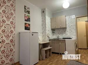 1-к квартира, на длительный срок, 22м2, 4/17 этаж