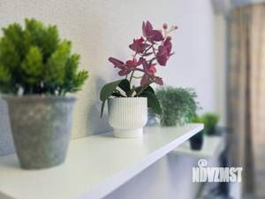 Студия квартира, посуточно, 33м2, 1/4 этаж