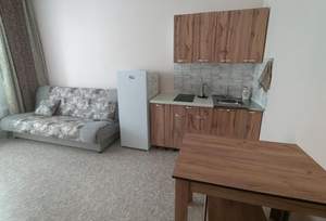 1-к квартира, на длительный срок, 22м2, 7/19 этаж