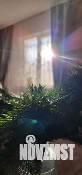 1-к квартира, посуточно, 33м2, 1/5 этаж