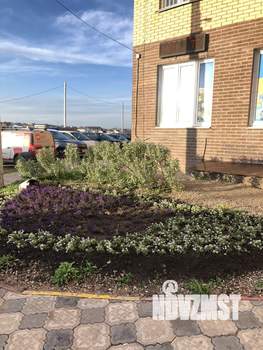 2-к квартира, на длительный срок, 50м2, 11/16 этаж