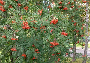 4-к квартира, на длительный срок, 150м2, 5/6 этаж