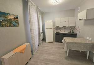 Студия квартира, на длительный срок, 30м2, 17/17 этаж