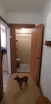 1-к квартира, на длительный срок, 31м2, 2/5 этаж
