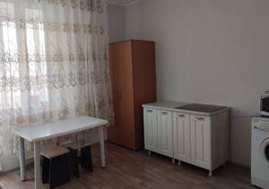 Студия квартира, на длительный срок, 21м2, 17/17 этаж