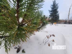 6-к квартира, вторичка, 263м2, 9/10 этаж