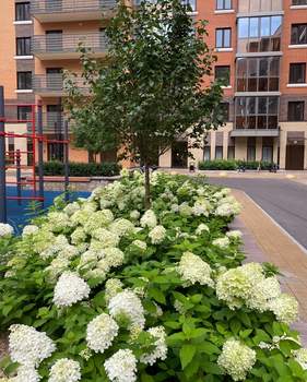 2-к квартира, вторичка, 62м2, 8/16 этаж