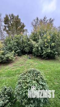 1-к квартира, вторичка, 34м2, 2/5 этаж