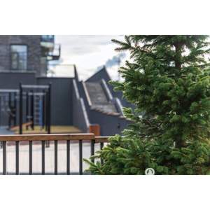 4-к квартира, вторичка, 85м2, 7/7 этаж