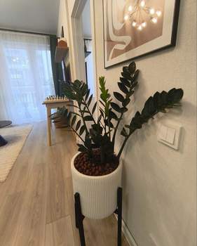 1-к квартира, вторичка, 41м2, 15/25 этаж